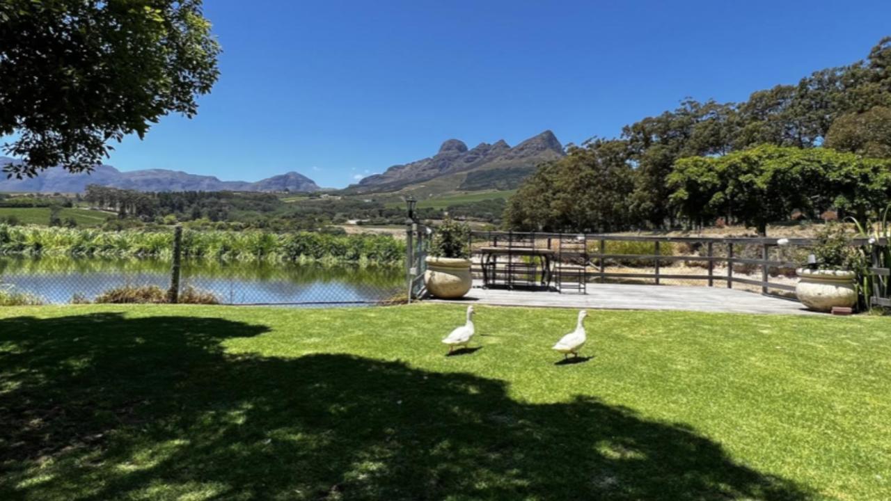 In The Vine Country Manor Guesthouse Stellenbosch Kültér fotó