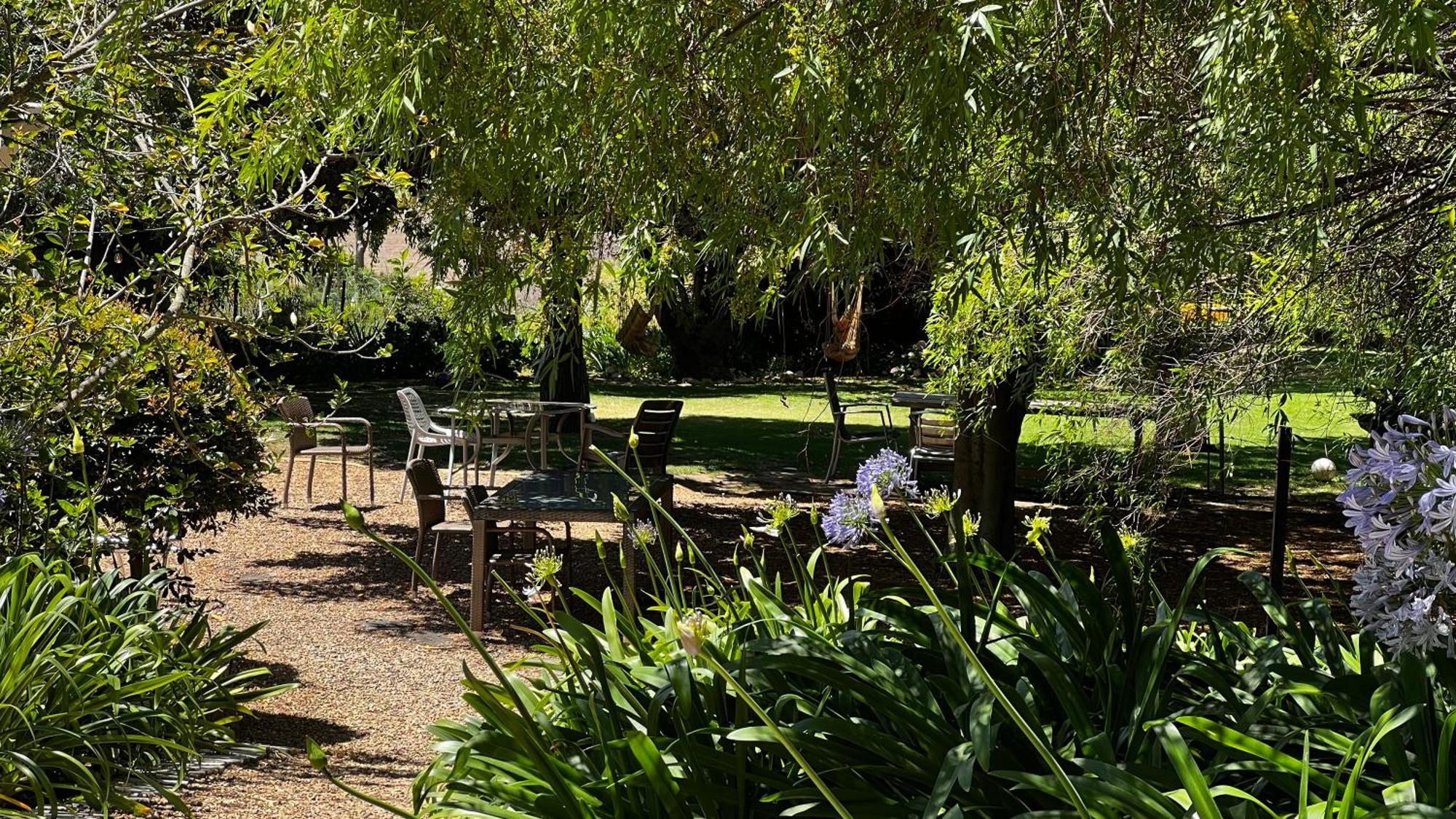 In The Vine Country Manor Guesthouse Stellenbosch Kültér fotó