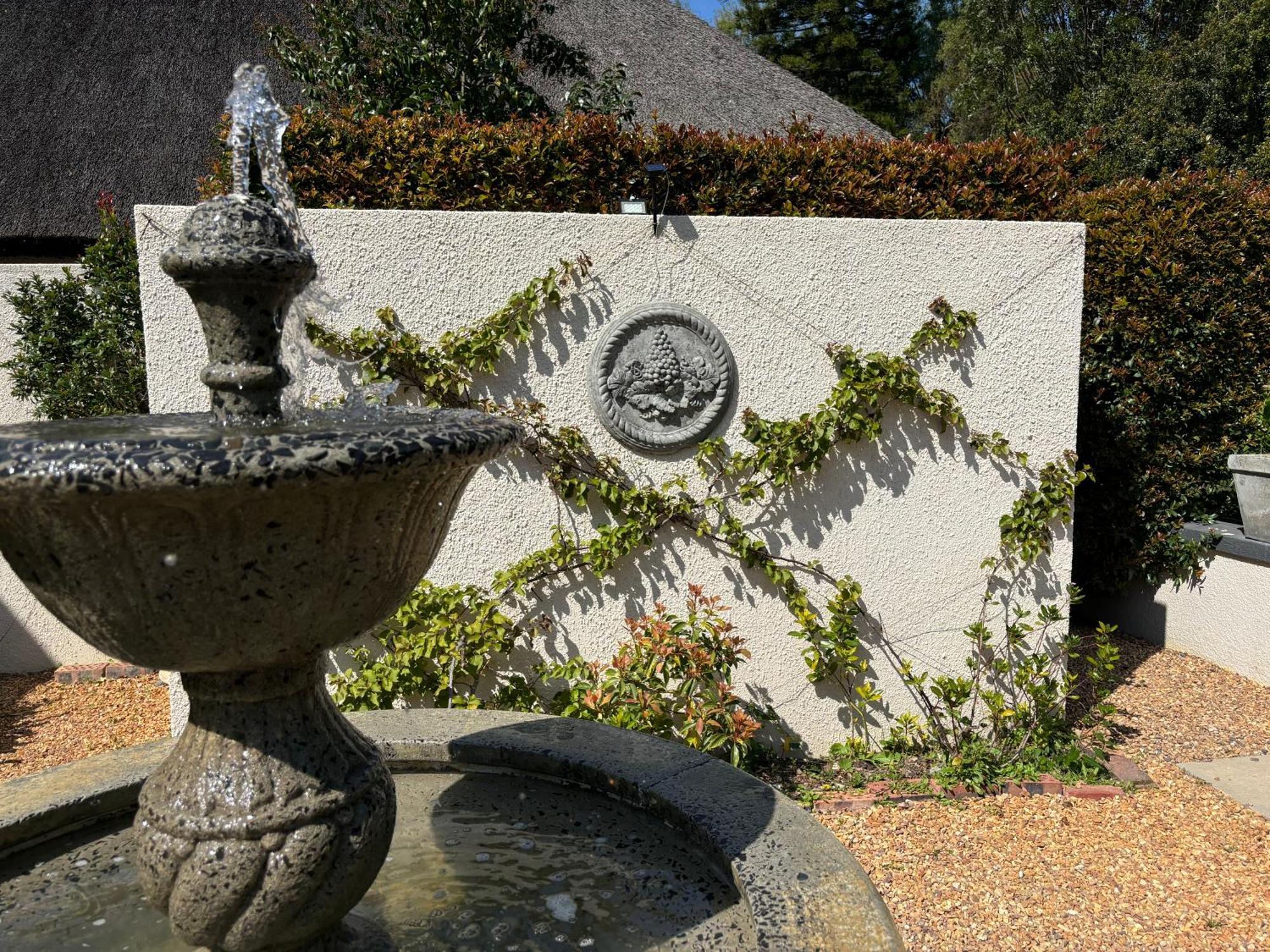 In The Vine Country Manor Guesthouse Stellenbosch Kültér fotó