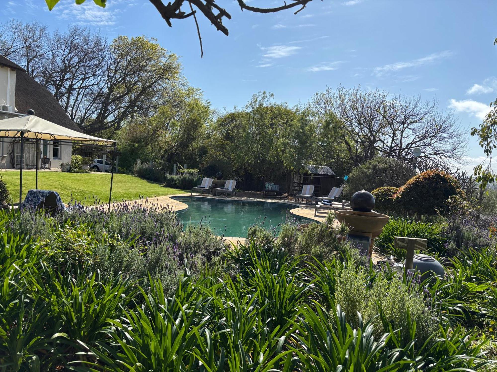 In The Vine Country Manor Guesthouse Stellenbosch Kültér fotó